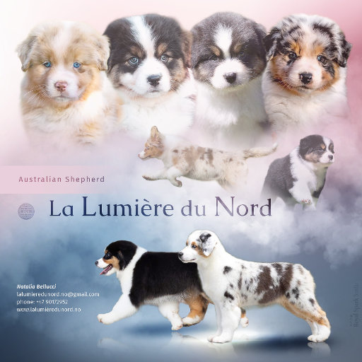 Prezentacja hodowli La Lumière du Nord