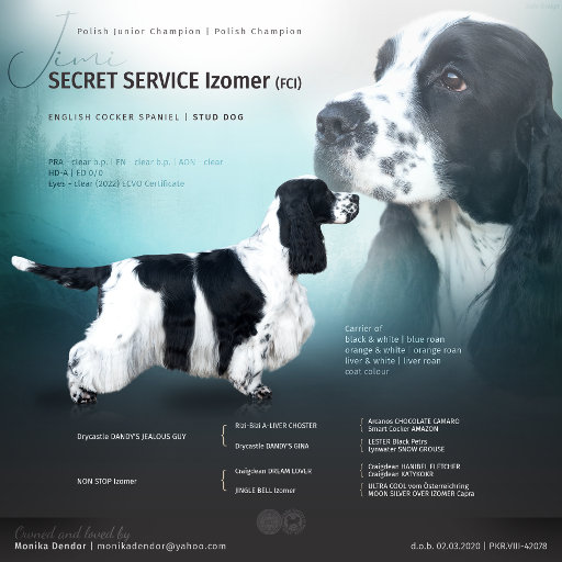 Prezentacja psa SECRET SERVICE Izomer